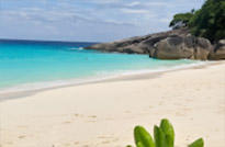 Similan Islands and Dam 2 Days 1 Night