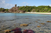 Similan Islands and Dam 2 Days 1 Night