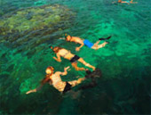 2 Days 1 Night Similan Island and Surin Island