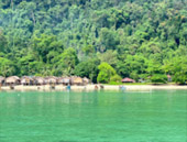 2 Days 1 Night Similan Island and Surin Island