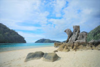 2 Days 1 Night Similan Island and Surin Island
