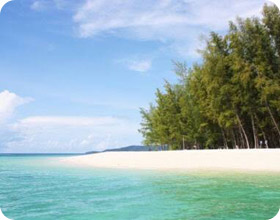Phi Phi Island + Bamboo Island by Speed Boat Phi Phi Island + Bamboo Island by Speed Boat