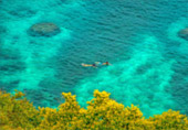 World Class Snorkeling Site: Ko Tao