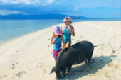 Koh Mudsum or Pigs Island