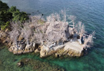 Route 6: Koh Phangan & Koh Raham Discovery