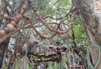 Route 6: Koh Phangan & Koh Raham Discovery