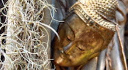 Big Buddha And Prailaem Temple