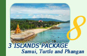 3 Islands Package Samui Turtle and Phangan