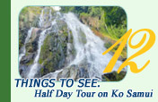Things to See. Half Day Tour on Ko Samui