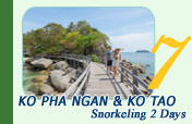 Ko Pha Ngan Ko Tao Snorkeling 2 Days