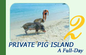 Private Pig Island Tour