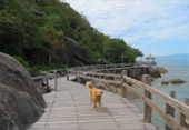 On Pha Ngan Island - Rin Beach and Wooden Bridge