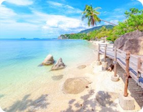 3 Islands Package Samui Turtle and Phangan