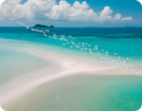 Ko Rab : One Day Private Tour