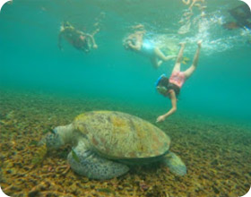 Day Tour Ko Tao: From Samui Island