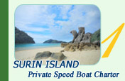 Surin Island Private Speed Boat Charter
