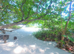 Bamboo Island Private Speed Boat