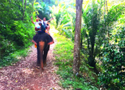 4 Days 3 Nights. The Connecting Package