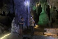 One Day CheowLan Lake and Natoure Safari