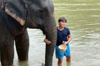 Khao Sok Day Tour Jungle Trek