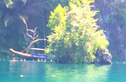 Surat Surin Nature Open: 4 Days 3 Nights