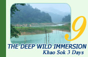 The Deep Wild Immersion: Khao Sok 3 Days