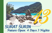 Surat Surin Nature Open: 4 Days 3 Nights