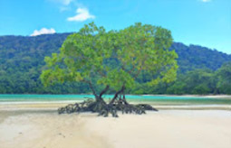 Mountain, Lake and Islands 3 Day 2 Nights Mountain, Lake and Islands 3 Day 2 Nights