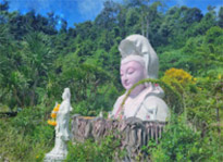 Along the South: 10 Days