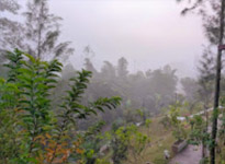 Surathani Nature 3 Days 2 Nights