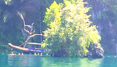 The Deep Wild Immersion: Khao Sok 3 Days