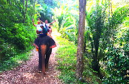 Surathani Nature 3 Days 2 Nights