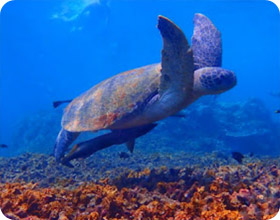 4 Days 3 Nights. The Connecting Package 4 Days 3 Nights. The Connecting Package