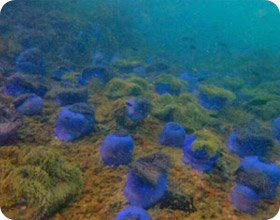 Difference - You 3 Days 2 Nights Difference - You 3 Days 2 Nights