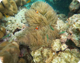 Mountain, Lake and Islands 3 Day 2 Nights Mountain, Lake and Islands 3 Day 2 Nights