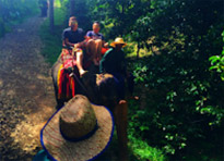 Two Days Khaosok and Lake Tour