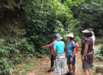 Two Days Khaosok and Lake Tour