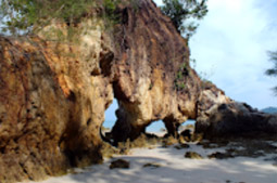 Along the South: 10 Days