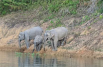 Along the South: 10 Days