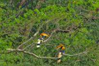 Along the South: 10 Days