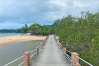 Along the South: 10 Days