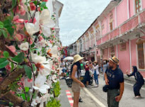 Along the South: 10 Days