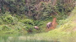 Wait for no one: 3 Days 2 Nights