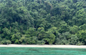 3 Days 2 Nights: Surin Island