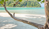 3 Days 2 Nights: Surin Island