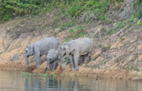 2 Days 1 Night. Best of Islands and Nature Lake