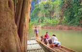Surin and Khaosok 2 Days Overnight amidst nature