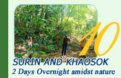 Surin and Khaosok 2 Days Overnight amidst nature