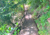 3 Days 2 Nights: Surin Island