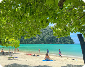 3 Days 2 Nights: Surin Island